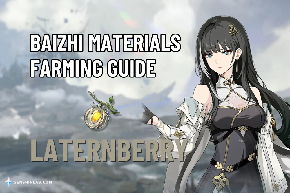 Baizhi Material (Laternberry) Farming Guide